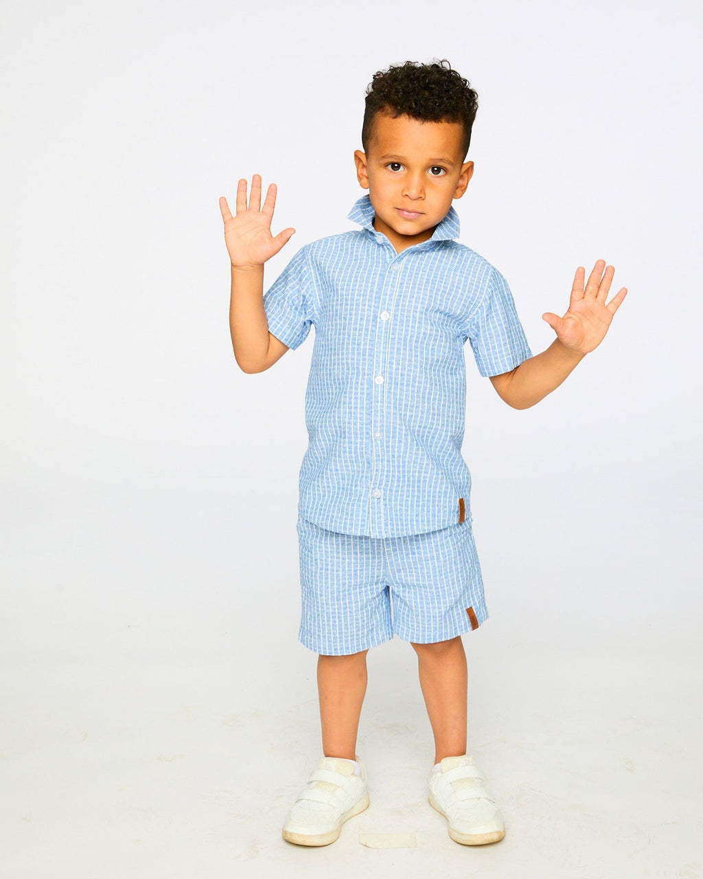 Printed Chambray Short-Sleeve Shirt Blue Denim Stripes-1