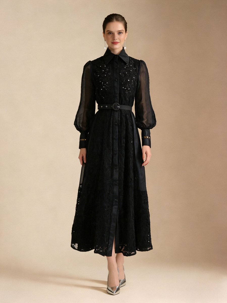 Elegant Embroidered Sheer Sleeve Maxi Dress-0