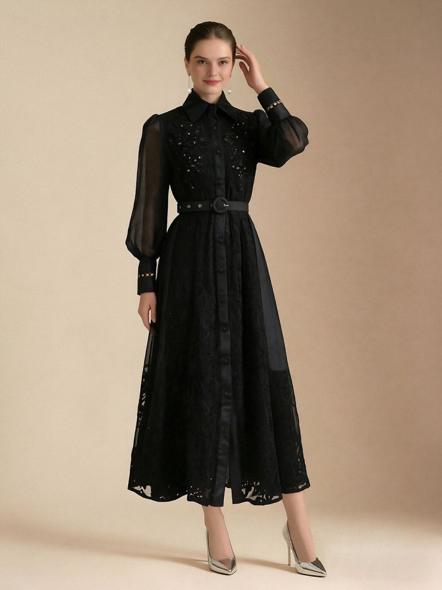 Elegant Embroidered Sheer Sleeve Maxi Dress-1