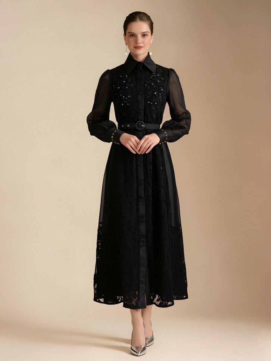 Elegant Embroidered Sheer Sleeve Maxi Dress-2